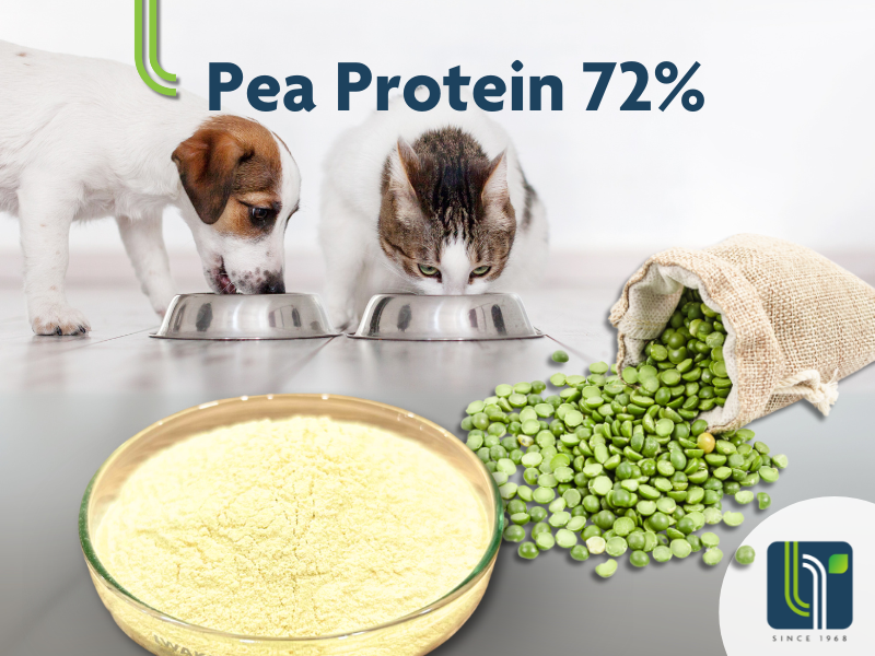 Pea Protein